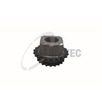 Pignon, pompe d'injection TRUCKTEC AUTOMOTIVE [08.12.078]