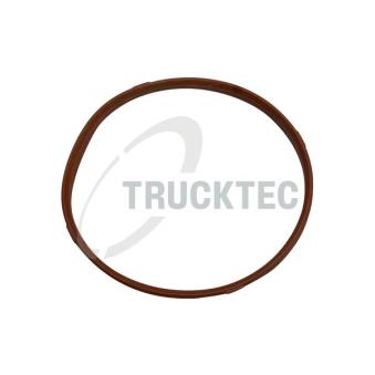 Joint d'étanchéité, carter de collecteur d'admission TRUCKTEC AUTOMOTIVE [08.13.002]