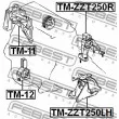 Support moteur FEBEST [TM-ZZT250LH]
