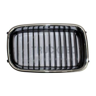 Grille de radiateur TRUCKTEC AUTOMOTIVE [08.62.249]