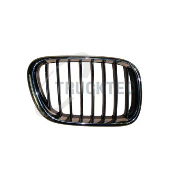 Grille de radiateur TRUCKTEC AUTOMOTIVE [08.62.253]