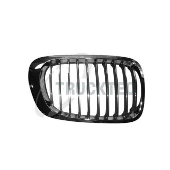 Grille de radiateur TRUCKTEC AUTOMOTIVE [08.62.254]