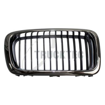 Grille de radiateur TRUCKTEC AUTOMOTIVE [08.62.262]