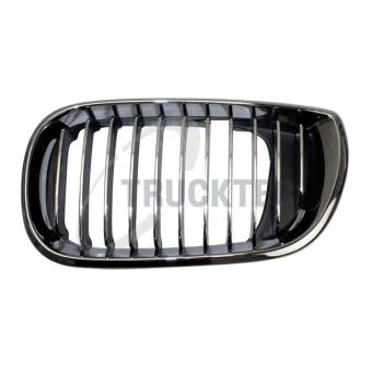 Grille de radiateur TRUCKTEC AUTOMOTIVE [08.62.298]