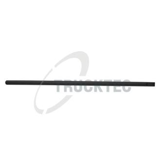 Baguette et bande protectrice, porte avant droit TRUCKTEC AUTOMOTIVE [08.62.850]