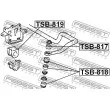 FEBEST TSB-817 - Suspension, jambe d'essieu