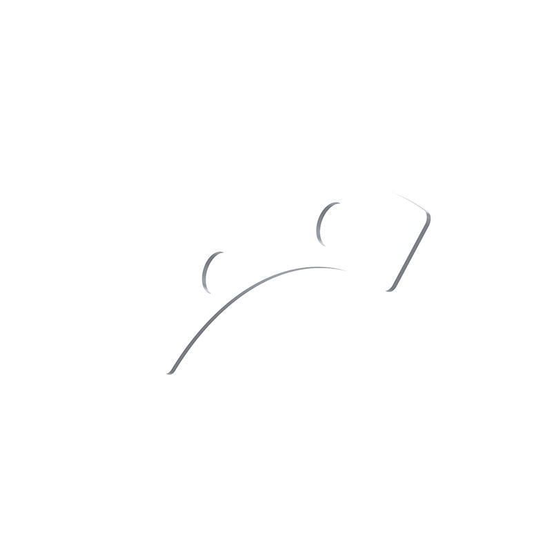 Masse d'équilibrage WABCO 9607308204 - Visuel 2