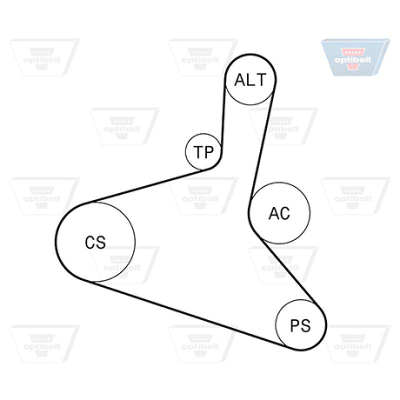 Jeu de courroies trapézoïdales à nervures OPTIBELT 6 DPK 1195KT1 - Visuel 2
