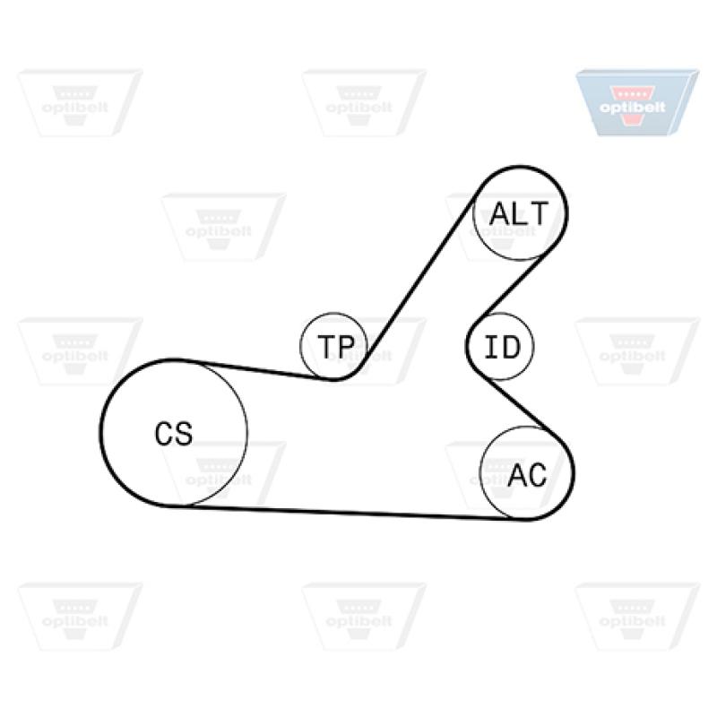 Jeu de courroies trapézoïdales à nervures OPTIBELT 6 PK 1145KT2 - Visuel 2