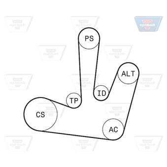Jeu de courroies trapézoïdales à nervures OPTIBELT [6 PK 1795KT1]