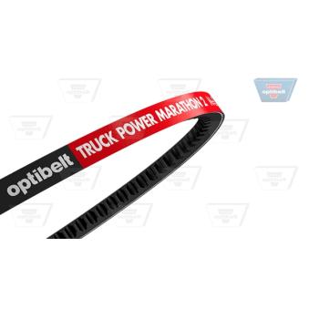 Courroie trapézoïdale OPTIBELT [AVX 13 x 1100 TM]