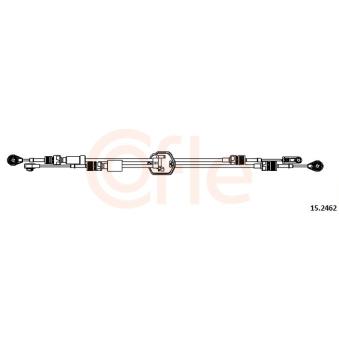 Tirette à câble, boîte de vitesse manuelle COFLE 15.2462 pour RENAULT MEGANE 2.2 TDCi - 100cv