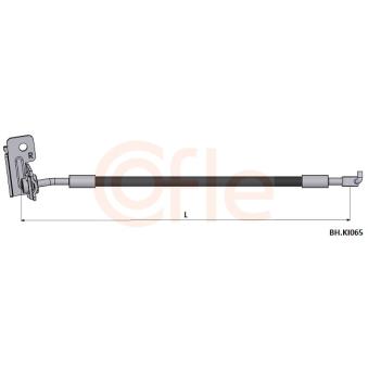 Flexible de frein COFLE [92.BH.KI065]