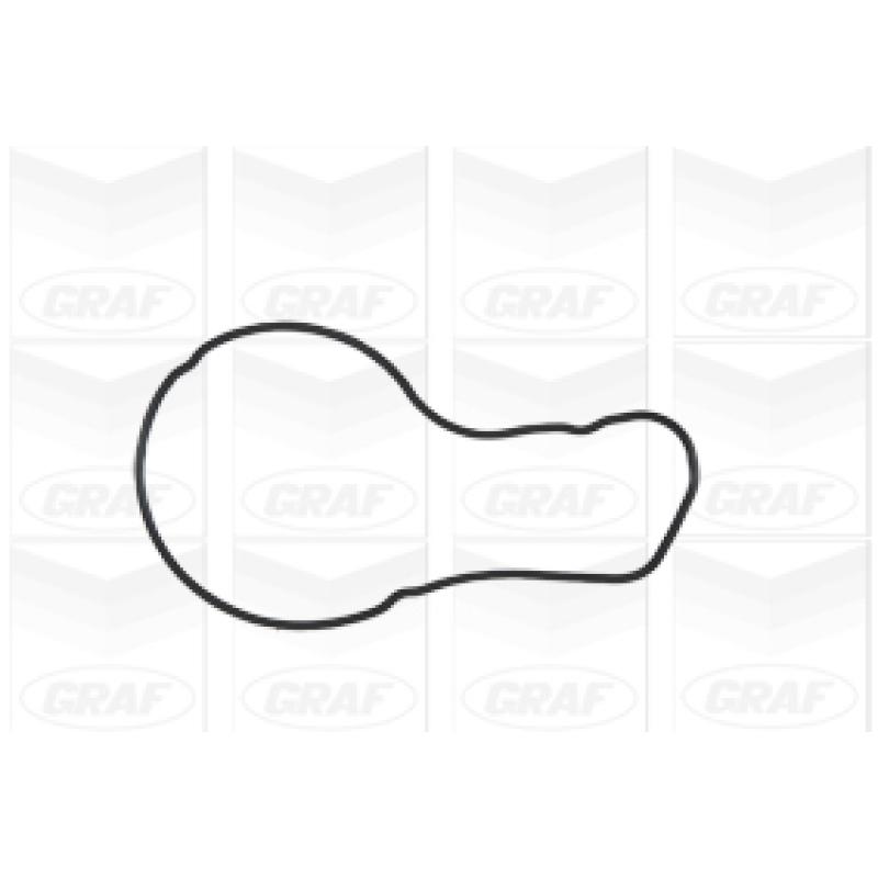 Pompe à eau GRAF PA1000 - Visuel 1