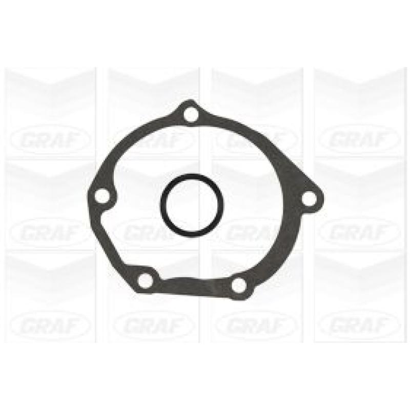 Pompe à eau GRAF PA1003 - Visuel 1