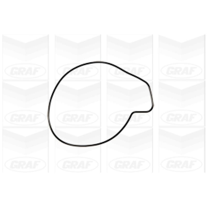 Pompe à eau GRAF PA1016 - Visuel 1