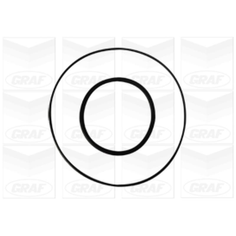 Pompe à eau GRAF PA1056 - Visuel 1