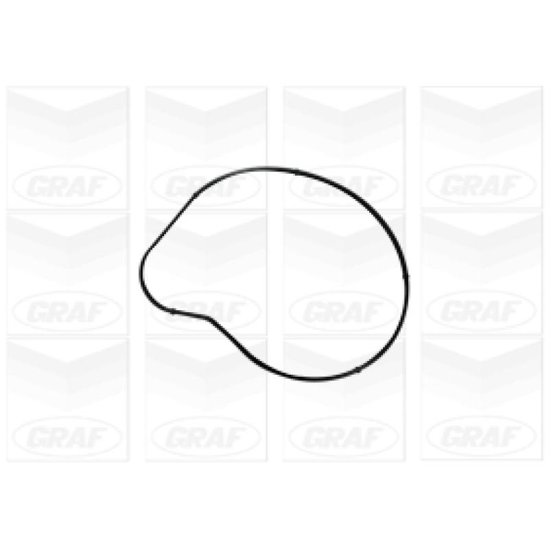 Pompe à eau GRAF PA1058 - Visuel 1