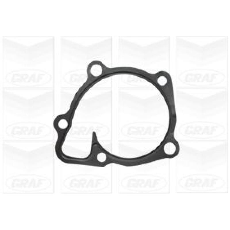 Pompe à eau GRAF PA1082 - Visuel 1