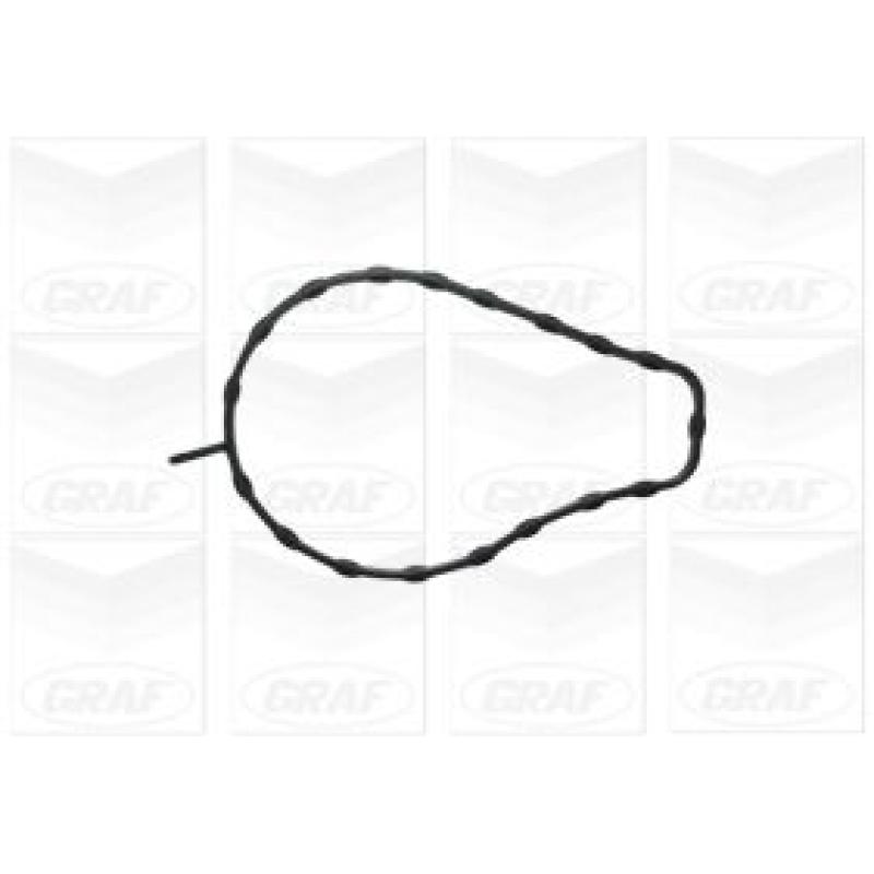 Pompe à eau GRAF PA1094 - Visuel 1