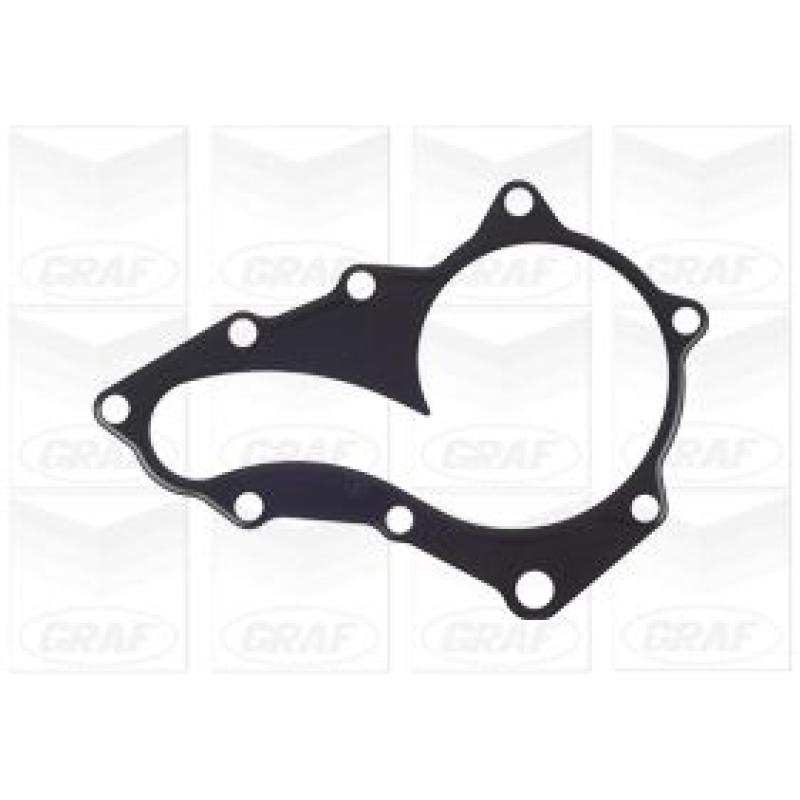 Pompe à eau GRAF PA1099 - Visuel 1