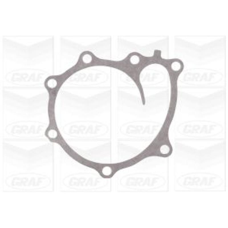 Pompe à eau GRAF PA1117 - Visuel 1