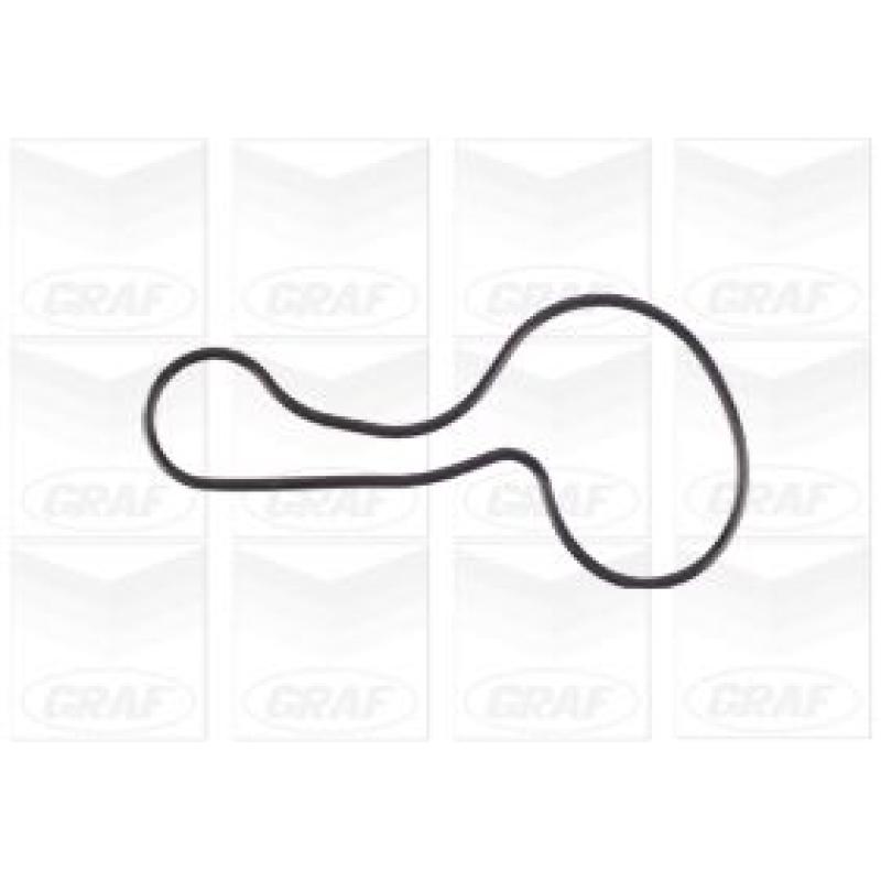 Pompe à eau GRAF PA1119 - Visuel 1