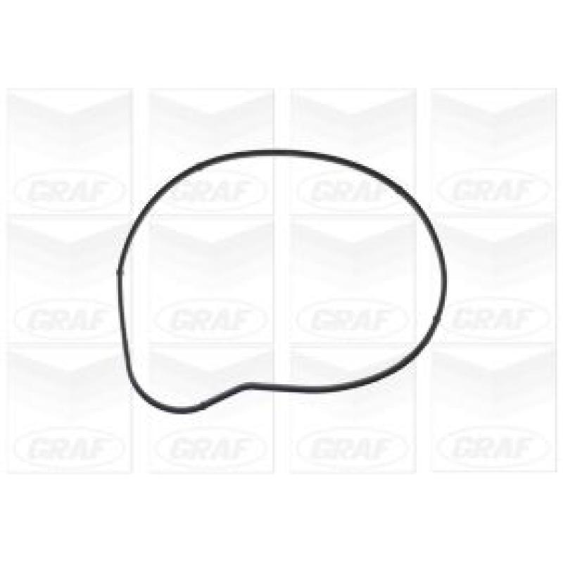 Pompe à eau GRAF PA1129 - Visuel 1