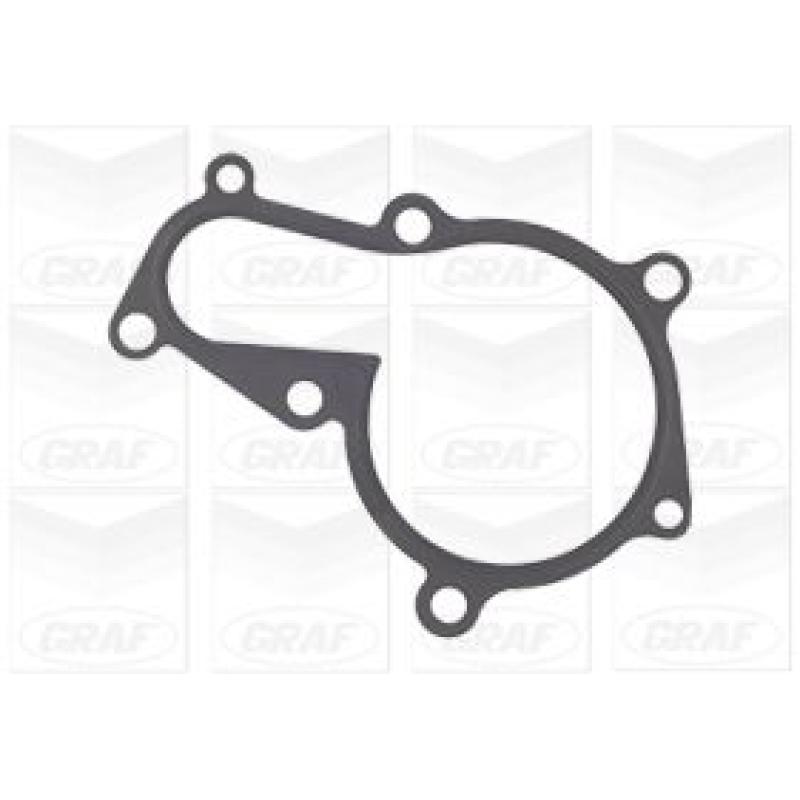 Pompe à eau GRAF PA1133 - Visuel 1