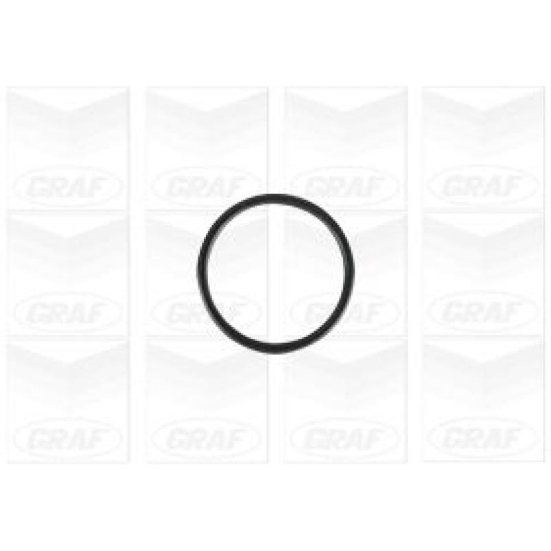 Pompe à eau GRAF PA1138 - Visuel 1