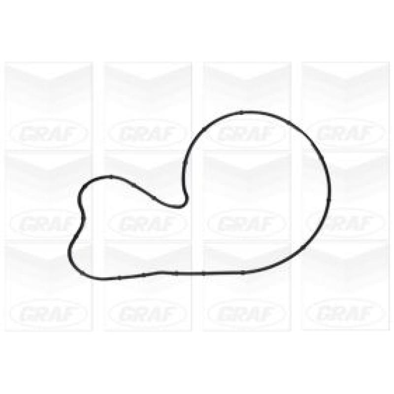 Pompe à eau GRAF PA1141 - Visuel 1