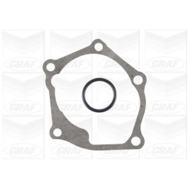 Pompe à eau GRAF PA1145 - Visuel 1