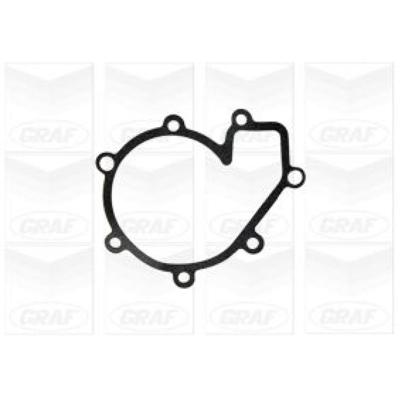 Pompe à eau GRAF PA1150 - Visuel 1