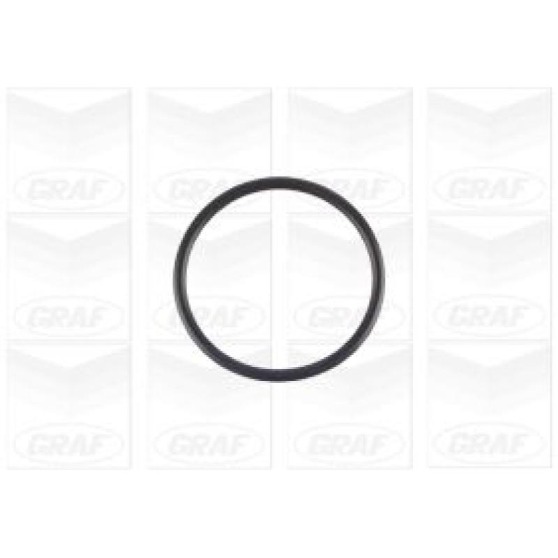 Pompe à eau GRAF PA1154 - Visuel 1