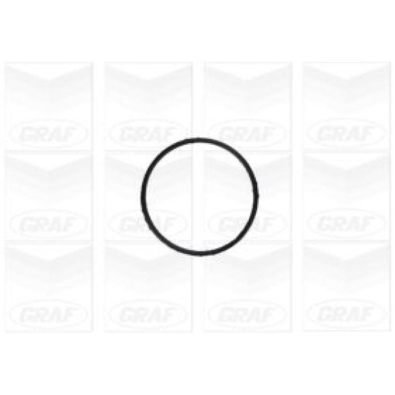 Pompe à eau GRAF PA1155 - Visuel 1