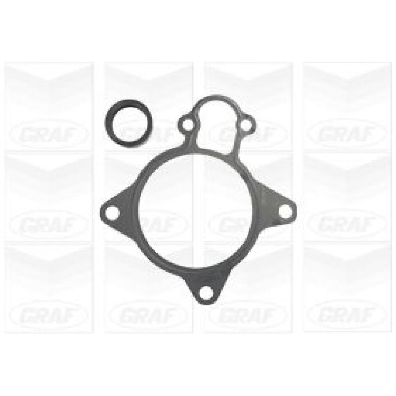 Pompe à eau GRAF PA1156 - Visuel 1