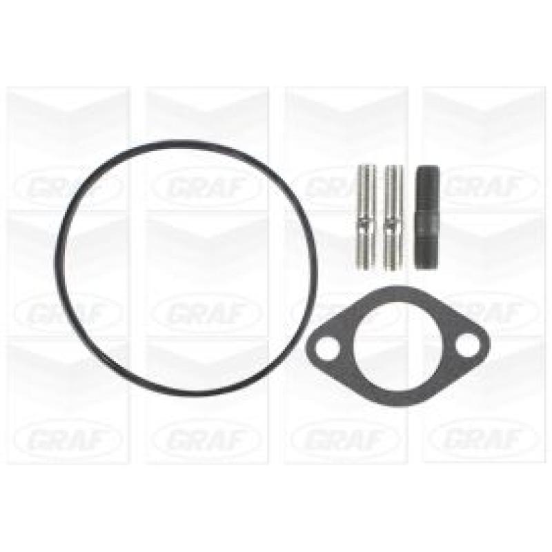 Pompe à eau GRAF PA1161 - Visuel 1