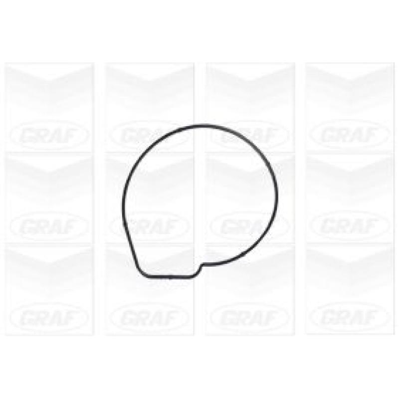 Pompe à eau GRAF PA1167 - Visuel 1