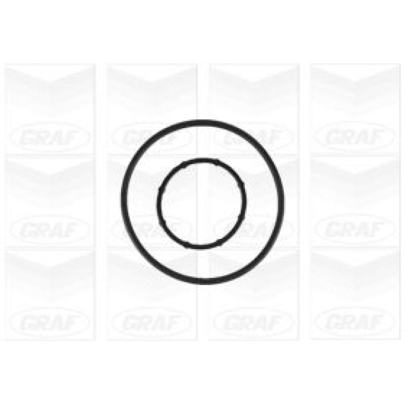 Pompe à eau GRAF PA1177 - Visuel 1