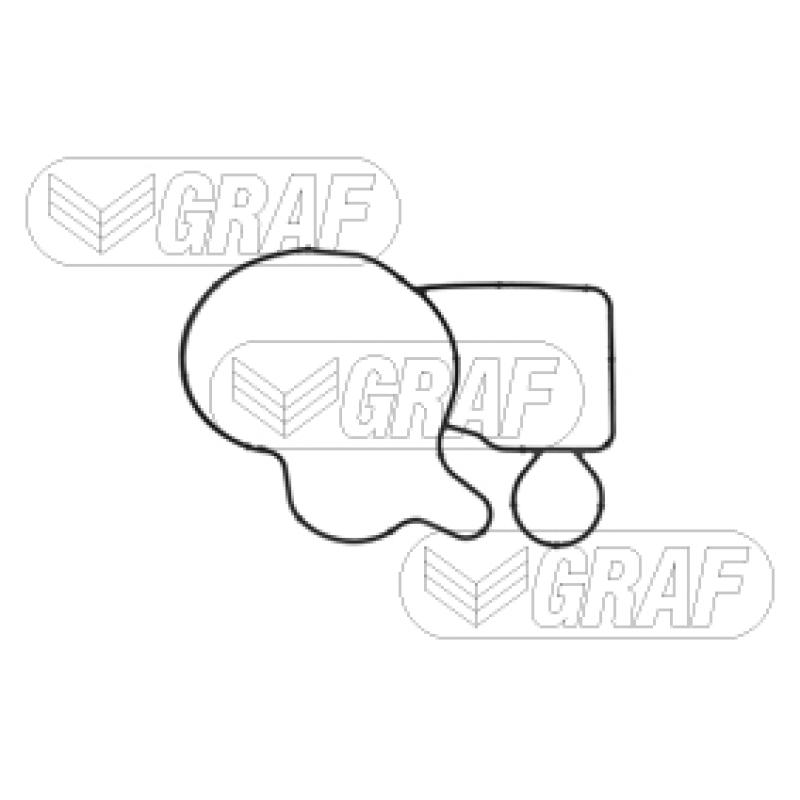 Pompe à eau GRAF PA1178 - Visuel 1