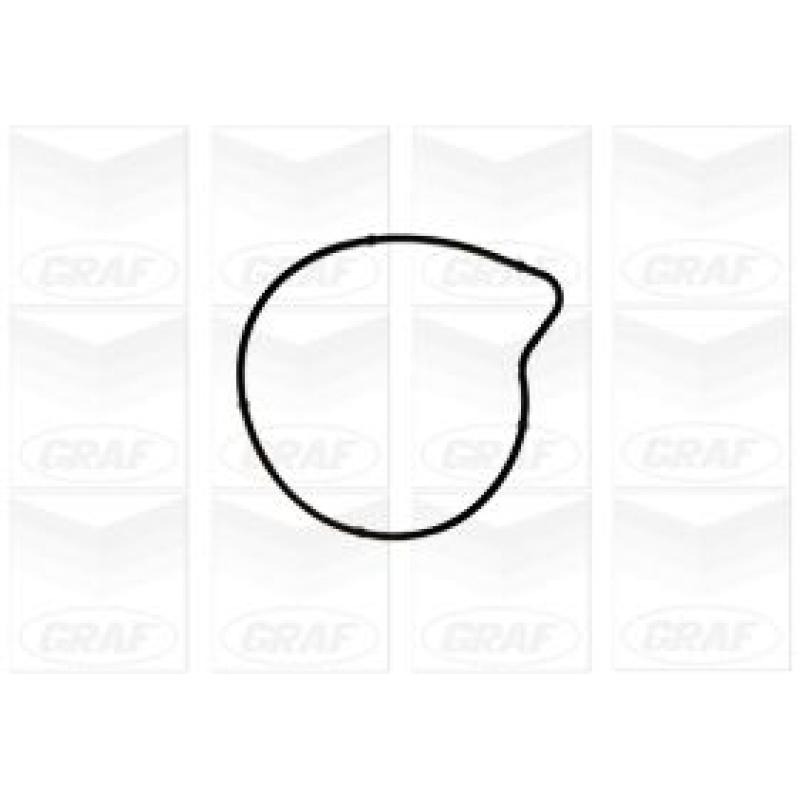 Pompe à eau GRAF PA1179 - Visuel 1