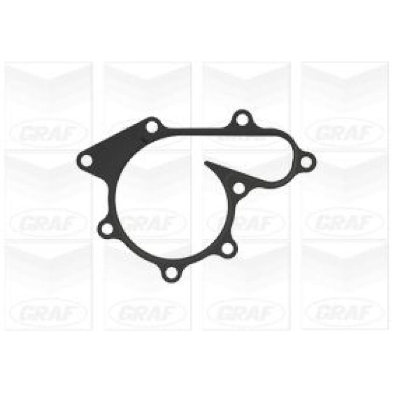 Pompe à eau GRAF PA1181 - Visuel 1