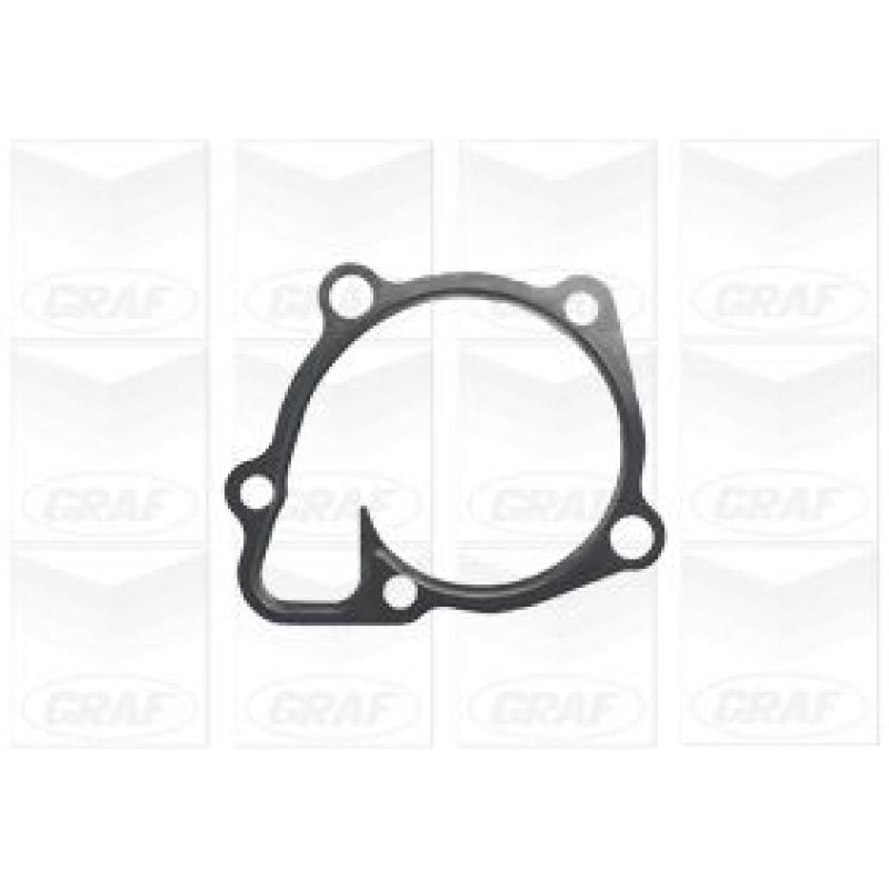 Pompe à eau GRAF PA1186 - Visuel 1