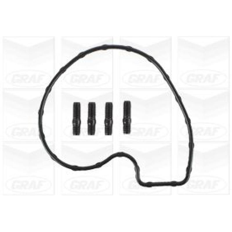 Pompe à eau GRAF PA1196 - Visuel 1