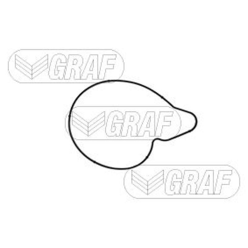 Pompe à eau GRAF PA1226 - Visuel 1