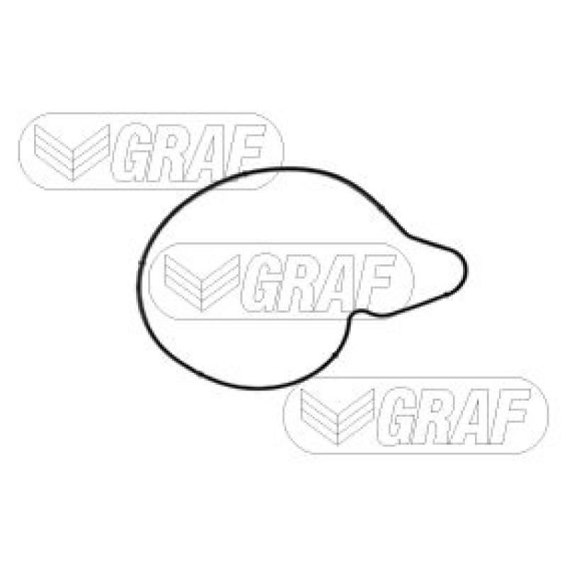 Pompe à eau GRAF PA1228 - Visuel 1