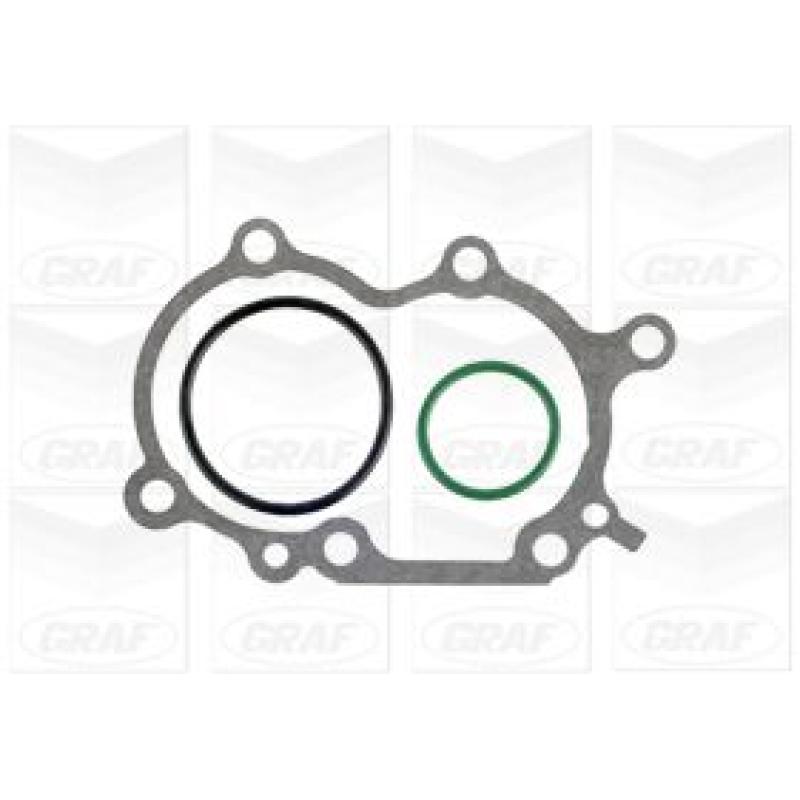 Pompe à eau GRAF PA1238 - Visuel 1