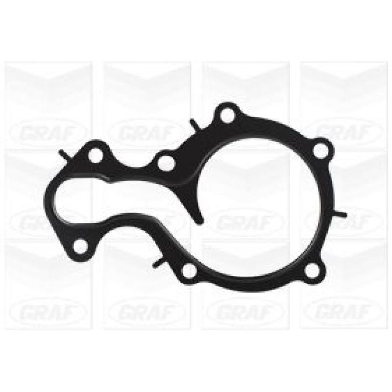 Pompe à eau GRAF PA1247 - Visuel 1