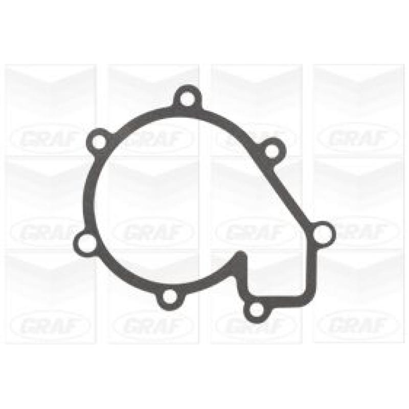 Pompe à eau GRAF PA1261 - Visuel 1