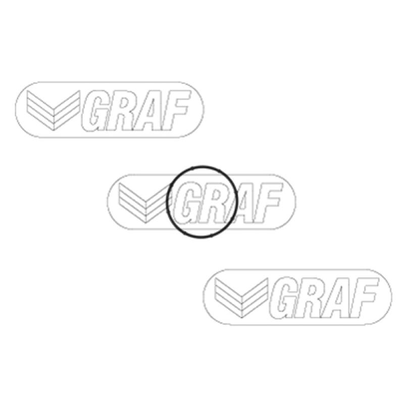 Pompe à eau GRAF PA1350 - Visuel 1